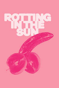 Rotting in the Sun - Posters