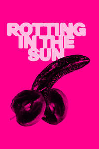 Rotting in the Sun - Posters