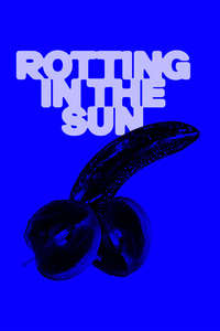 Rotting in the Sun - Posters