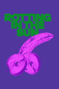 Rotting in the Sun - Posters