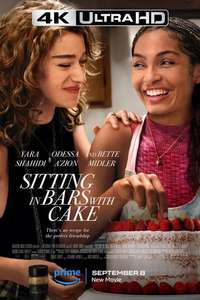 Sitting in Bars with Cake - Poster