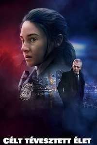 To Catch a Killer - Poster