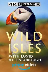Wild Isles - Posters