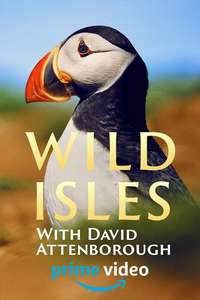 Wild Isles - Posters