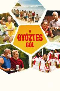 Next Goal Wins - Posters