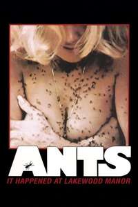 Ants - Poster