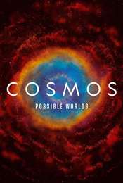 Cosmos: A Spacetime Odyssey