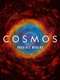 Cosmos: A Spacetime Odyssey