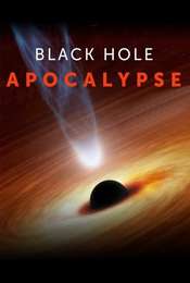 Black Hole Apocalypse
