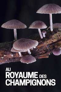 The Kingdom: How Fungi Made Our World - Posters