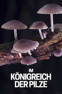 The Kingdom: How Fungi Made Our World - Posters