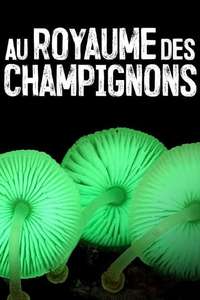 The Kingdom: How Fungi Made Our World - Posters
