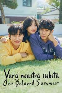 Our Beloved Summer - Posters