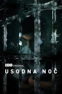 The Night Of - Posters