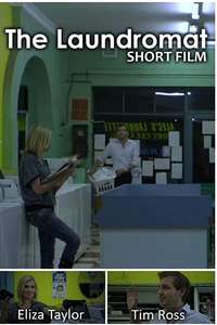 The Laundromat - Poster