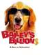 Bailey's Billion$