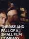Rise and Fall of a Small Film Company