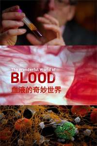 The Wonderful World of Blood with Michael Mosley - Poster