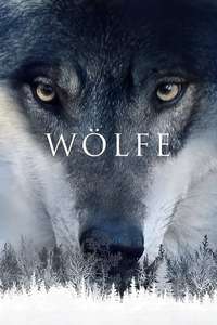 Medicine of the Wolf - Poster