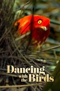 Dancing with the Birds - Posters
