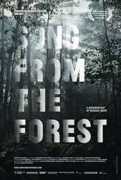 Song from the Forest