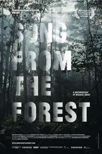 Song from the Forest - Poster