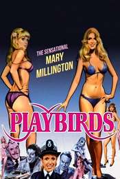 The Playbirds