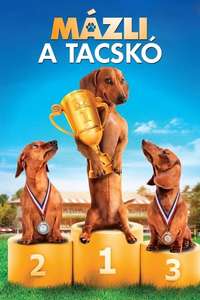 Wiener Dog Nationals - Poster