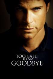 Too Late To Say Goodbye