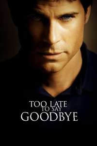 Too Late To Say Goodbye - Poster