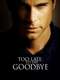 Too Late To Say Goodbye