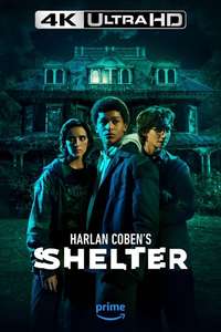 Harlan Coben's Shelter - Posters