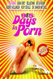9to5: Days in Porn