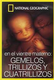 In the Womb: Multiples