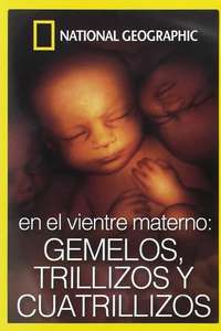 In the Womb: Multiples - Poster