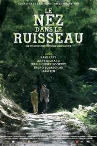 Le nez dans le ruisseau - Poster