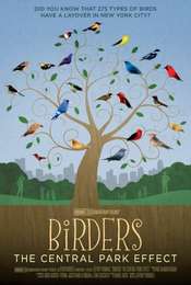 Birders: The Central Park Effect