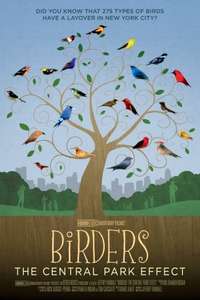 Birders: The Central Park Effect - Poster