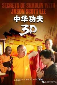 Secrets of Shaolin with Jason Scott Lee - Poster