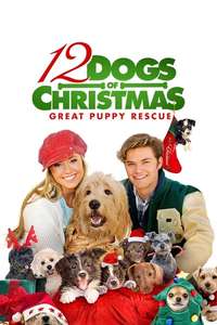 12 Dogs of Christmas: Great Puppy Rescue - Poster