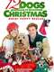 12 Dogs of Christmas: Great Puppy Rescue