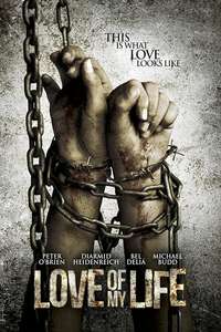 Love of My Life - Poster