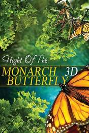 The Incredible Journey of the Monarch Butterfly