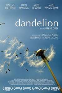 Dandelion - Poster