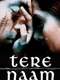 Tere Naam
