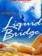 Liquid Bridge