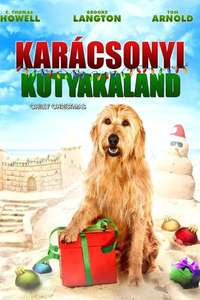 Chilly Christmas - Poster