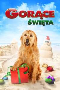 Chilly Christmas - Poster
