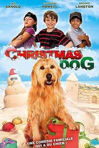 Chilly Christmas - Poster