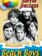 Beach Boys: Surfin' Success